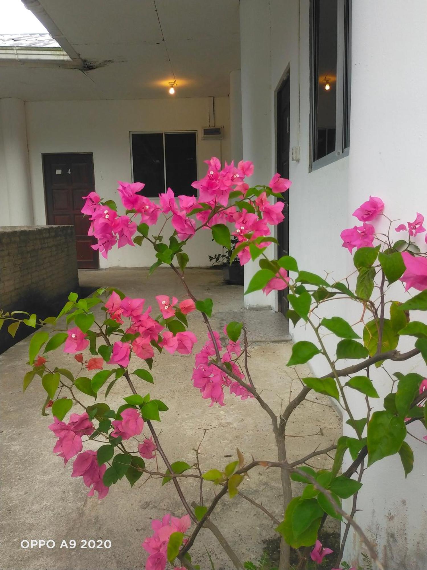 Sukau tomanggong view bed & breakfast Eksteriør billede