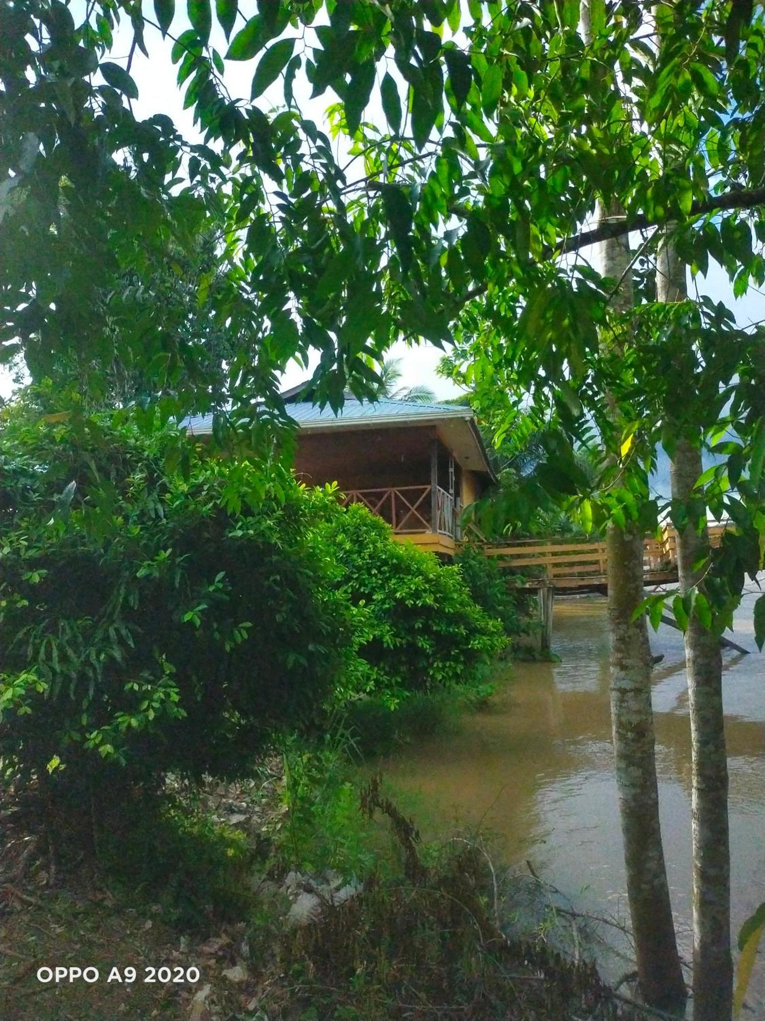 Sukau tomanggong view bed & breakfast Eksteriør billede